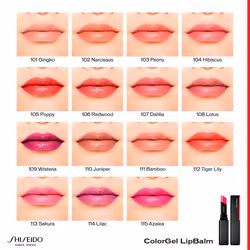 Colorgel lipbalm #101-gingko