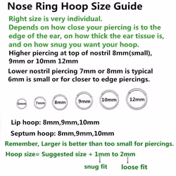 BLESSMYLOVE Clear CZ Silver 18G 9mm Nose Rings Hoop 316L Surgical Stee