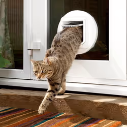 SureFlap - Sure Petcare Microchip Cat Flap, White, Scans Pet's ID on Entry, Check Your Cat's Size,Flap Opening is 4 3/4   (H) by 5 5/8   (W)