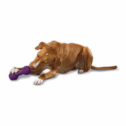 PetSafe Busy Buddy Chuckle