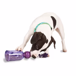 PetSafe Busy Buddy Tug-a-Jug - Medium/Large