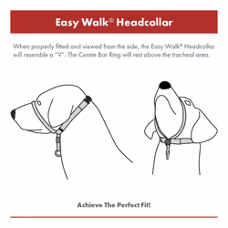 PetSafe Easy Walk Headcollar & 1.8m Lead for Medium Dogs No Pull Training, Black