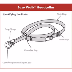 PetSafe Easy Walk Headcollar & 1.8m Lead for Medium Dogs No Pull Training, Black