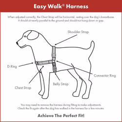 PetSafe Easy Walk Harness & 1.8m Lead for Medium Dogs - Non-Pull Collar - Black
