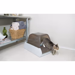 PetSafe ScoopFree Replacement Blue Crystal Litter Tray Box Refill, 99% Dust-Free