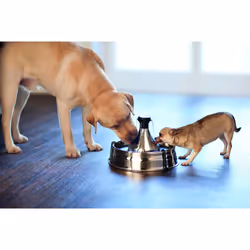 PetSafe Drinkwell 360 Stainless Steel Pet Fountain