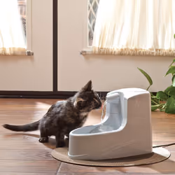 PetSafe Drinkwell Mini Pet Fountain â 1.2L | Automatic Pet Water Dispenser