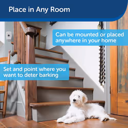 PetSafe Automatic Training Ultrasonic Indoor Anti-Bark Control - Additional view 4