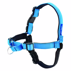 PetSafe, Easy Walk Deluxe Harness,Medium/Large, Ocean Blue,, 1.8 metre leash, No pull, Training, Adjustable, for small / medi ...