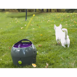PetSafe Automatic Ball Launcher | Auto Dog Ball Throwing Device