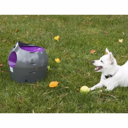 PetSafe Automatic Ball Launcher | Auto Dog Ball Throwing Device