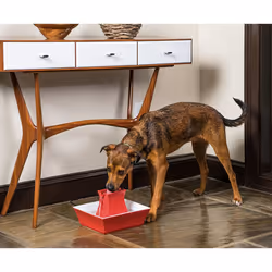 PetSafe Drinkwell Ceramic Pagoda Fountain, 2 L, Red Drinking Fountain for Cats and Dogs, Dual Water Stream, Hygienic