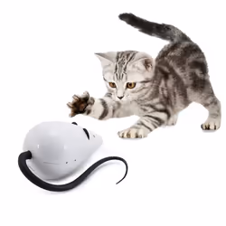 PetSafe FroliCat, Interactive, RoloRat Automatic Cat Teaser, Light up, Random movement, Active, exercise Cat Toy