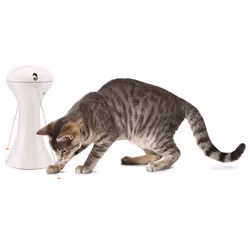 PetSafe FroliCat, Interactive, Multi-Laser Toy, Automatic, Portable, User Friendly, Stimulating Laser Cat Toy
