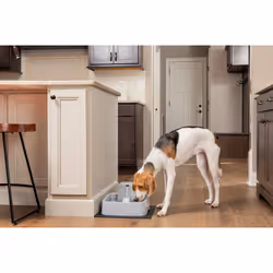 PetSafe PWW19-16778 dog/cat feeder/waterer Plastic Grey Universal Automatic pet waterer - Additional view 2