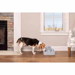 PetSafe PWW19-16778 dog/cat feeder/waterer Plastic Grey Universal Automatic pet waterer - Additional view 4