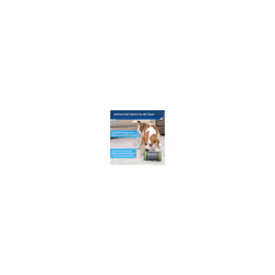 PetSafe Kibble Chase Roaming Treat Dispenser Intelligence Dog Toy