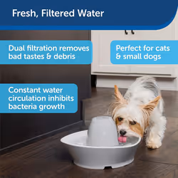 PetSafe Streamside Ceramic Pet Fountain, 1.8-litre water capacity, whisper-quiet design, filtered water, encourages pets to drink more water