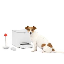 PetSafe Teach & Treat Remote Reward Trainer â Remote Treat Dispenser for Dogs â Portable Training Tool