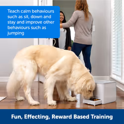 PetSafe Teach & Treat Remote Reward Trainer â Remote Treat Dispenser for Dogs â Portable Training Tool