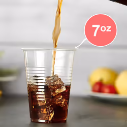 Plastic House Clear Plastic Cups Bulk - 7 oz. (Pack of 100) - Disposable Plastic Drinkware  Perfect Clear Drinking Cup for Cold Drinks And Everyday Us