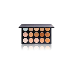 SHANY Cosmetics Professional Cream Foundation and Camouflage Concealer 15 Color Palette, 13 Ounce