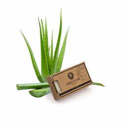 MAN MANE Manestream Long Lasting Mild Scented Aloe Vera Calendula Bar with Coconut Olive Palm and Essential Oils Natural Ha ...