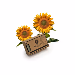 MAN & MANE Manestream Long Lasting Mild Scented Geranium French Clay Bar with Coconut Olive Palm Oils Natural Handmade So ...