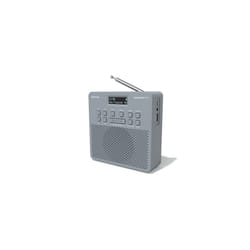 T4 DAB/DAB+ Digital FM Radio with Bluetooth, Rechargeable Battery and Mains Power Radio with USB Mobile Charging (Grey)
