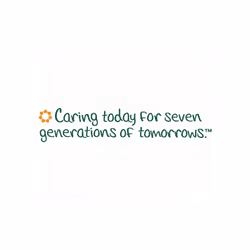 Seventh Generation Dishwasher Detergent Powder, Free & Clear, 45 oz