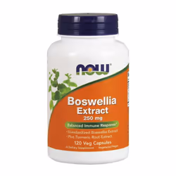 NOW Foods Boswellia Extract Plus Turmeric Root Extract, 250mg, 120 vcaps