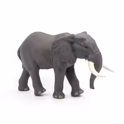 Papo -Hand-Painted - Figurine -Wild Animal Kingdom - African Elephant