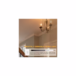 Pack of 10 Small Screw Candle Bulbs, Clear Edison Screw in Bulb SES /e14, 240V
