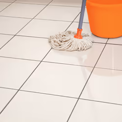 HG 5L Shine Restoring Tile Cleaner