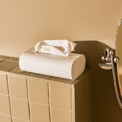 Alessi Aleesi PL07 W Birillo Tissue Box  White