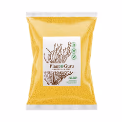 Candelilla Wax Pellets 5 lbs. Bulk Wholesale 100% Pure Natual Food Grade Vegan Wax For DYI Lip Balm Soap and Candle Making ...