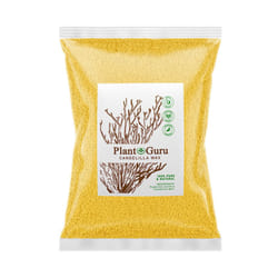 Candelilla Wax Pellets 5 lbs. Bulk Wholesale 100% Pure Natual Food Grade Vegan Wax For DYI Lip Balm  Soap and Candle Making  Creams and Lotions. Great