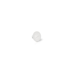 Polaris Genuine Parts C55 Plastic Wheel Screw Replacement For Pressure-Side Pool Cleaners 280, 280 Tanktrax, Tr28P, 180