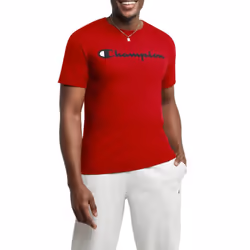 Champion mens Classic T-shirt Screen Print Script T Shirt Scarlet-y06794 X-Large US