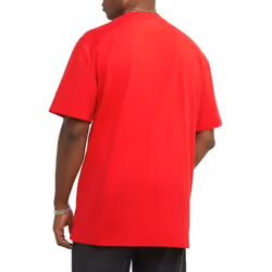 Champion mens Classic T-shirt  Screen Print Script T Shirt  Scarlet-y06794  X-Large US