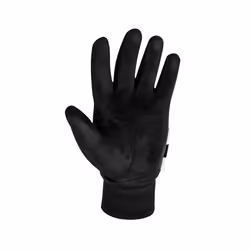 FootJoy Men's WinterSof Pair Golf Glove Black X-Large  Pair
