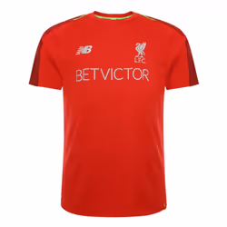 2018-2019 Liverpool Elite Training Jersey (Red) - S