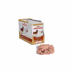 Royal Canin Dachshund Breed Adult, Wet Dog Food 24 Packs Of 85g