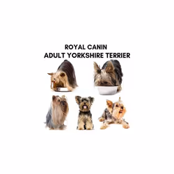Adult Yorkshire Terrier Wet Dog Food 24 Packs 85g Each