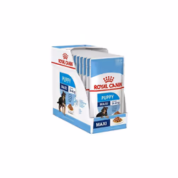 Royal Canin Maxi Puppy / Junior Wet Dog Food 40 Packs 140g Each Specially Developed For Young And Growing Large Breed Dog Up ...