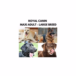 Royal Canin Maxi Adult Wet Dog Food. 40 Packs, 140g Each For 26-44kg Size Dog