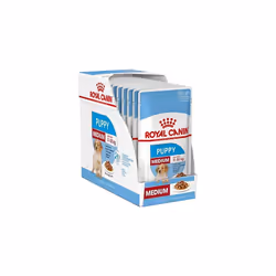 Royal Canin Medium Puppy Junior Wet Dog Food 40 Packs Of 140g Each For Puppies And Young Dogs Of Medium Breeds 11-25kg Up To ...