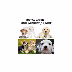 Royal Canin Medium Puppy Junior Wet Dog Food 40 Packs Of 140g Each For Puppies And Young Dogs Of Medium Breeds 11-25kg Up To The Age Of 12 Months