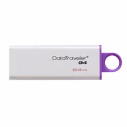 Kingston Technology DataTraveler G4, 64 GB, USB Type-A, 3.2 Gen 1 (3.1 Gen 1), Cap, 10.31 g, Violet, White