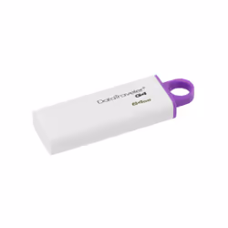 Kingston Technology DataTraveler G4 USB flash drive 64 GB USB Type-A 3.2 Gen 1 (3.1 Gen 1) Violet, White